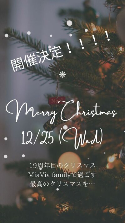 緑　グレー　ダーク　シンプル　クリスマス　 Instagramストーリー_20241104_172626_0000.jpg